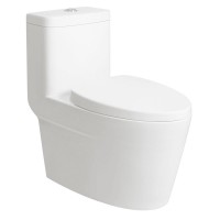 Hot sale floor standing CUPC water closet, one piece ceramic toilet suite, back to wall WC