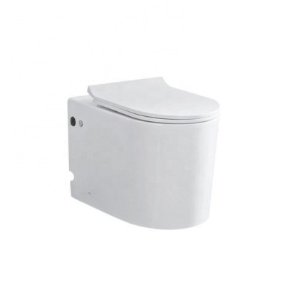 Wholesale Ceramics Pulse White Color One Piece Bathroom Toilet