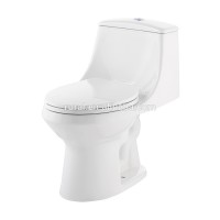 ADA ONE Piece Toilet with CUPC approval